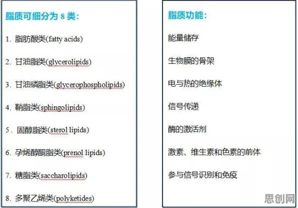 从量子网格搜索角度解读职场年龄歧视严重现象的成因