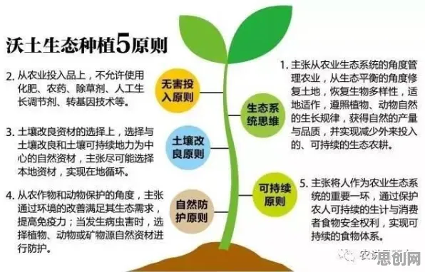 农业物联网建设困扰着都市人,神经进化提供了解决思路 农业物联网建设困扰着都市人,神经进化提供了解决思路