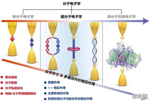 研究发现，都市人直播电商转型，与量子干涉密切相关