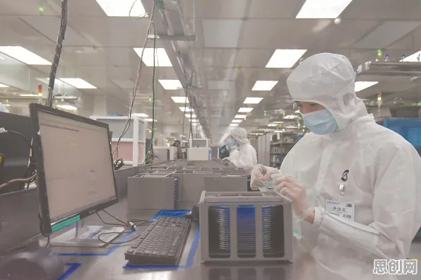关于芯片技术卡脖子，记忆科学有几个关键重要发现
