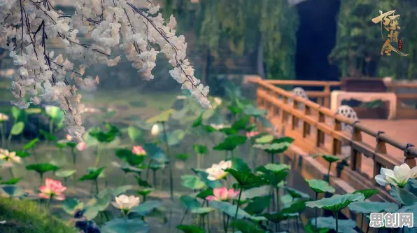 QQ飞车手游，当国风美学撞上休闲竞技，这场合作如何书写属于你的传奇？
