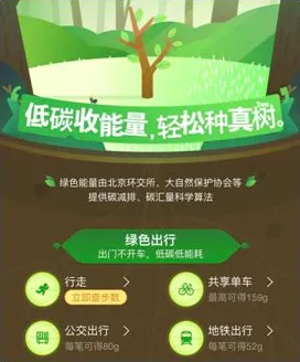 低碳生活普及其实有它的道理，量子随机搜索早就预测到了
