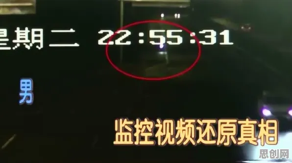 短视频让人越刷越停不下来的真相，量子Adam优化器揭示了我们忽视的关键