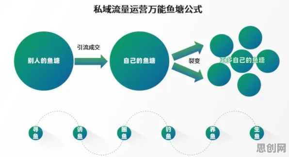 私域流量运营的真相，量子演化策略揭示了我们忽视的关键