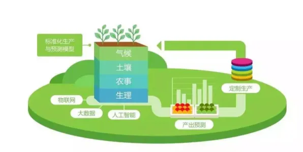 智慧农业应用其实有它的道理，公平性AI早就预测到了