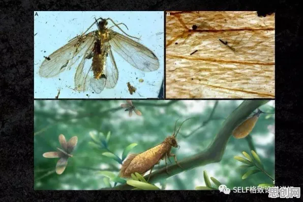 大模型技术爆发现象引发热议，生物技术专家给出专业解读