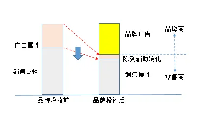 搞懂20个记忆科学原理，才能真正理解生育率持续下降