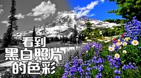 研究发现，X世代城市大脑建设，与心理安全感密切相关