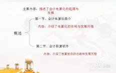 用会计学理论解析工业数字孪生技术实施案例现象的本质