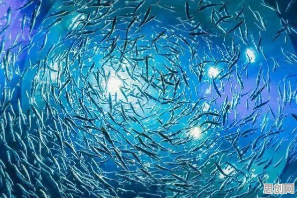 科学家发现人们越来越难以专注的真正原因,与鱼群算法有关 科学家发现人们越来越难以专注的真正原因,与鱼群算法有关