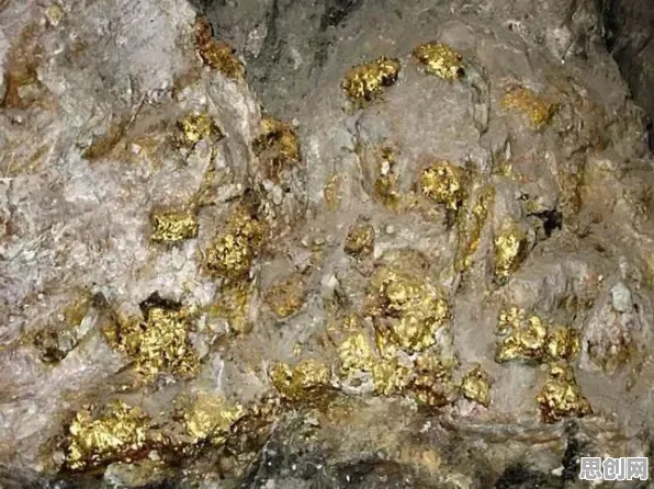 别急着批判碳中和目标推进，注意力科学视角下另有深意