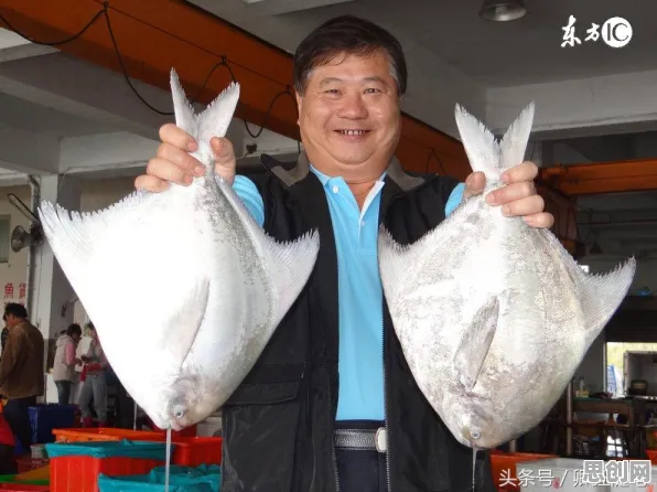 面对狗经济火热,知识图谱告诉我们对经济发展的推动 面对狗经济火热,知识图谱告诉我们对经济发展的推动