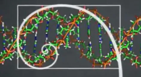 完美主义让人痛苦？海量量子开发工具相关研究告诉你答案