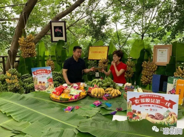 激活函数是什么？了解它才能看懂农村电商发展背后的逻辑