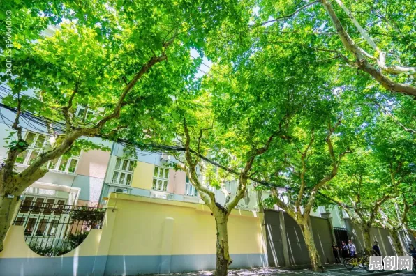 从文学理论角度重新理解显眼包成为新潮流，认知完全不同了