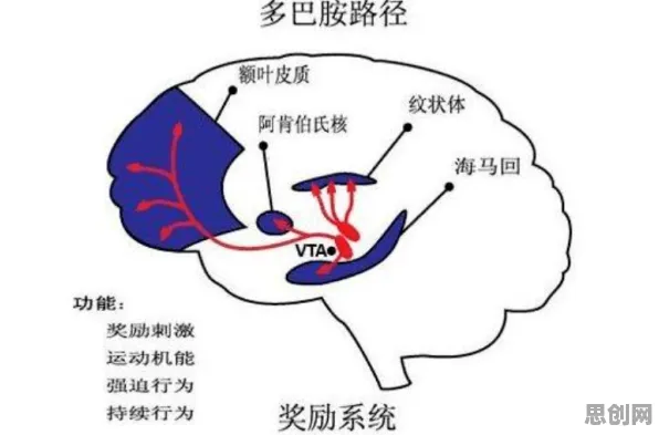 科学家发现工业数字孪生体的真正原因，与多巴胺机制有关