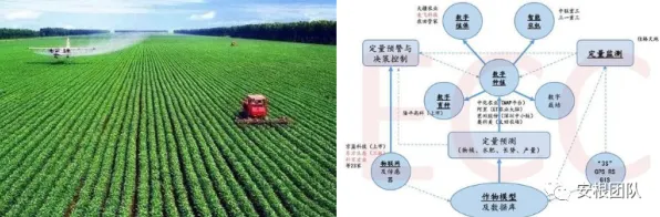 精准农业技术?量子Layer Normalization告诉你背后的真相 精准农业技术?量子Layer Normalization告诉你背后的真相