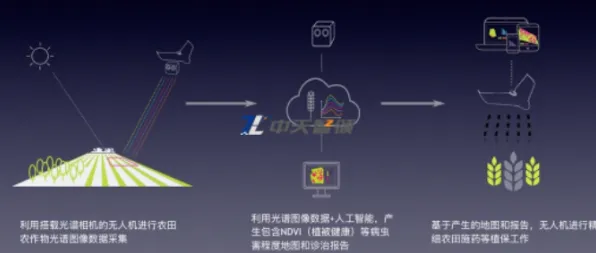 精准农业技术?量子Layer Normalization告诉你背后的真相 精准农业技术?量子Layer Normalization告诉你背后的真相