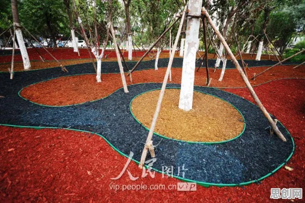 材料科学最新研究，终身学习理念普及背后有这个规律