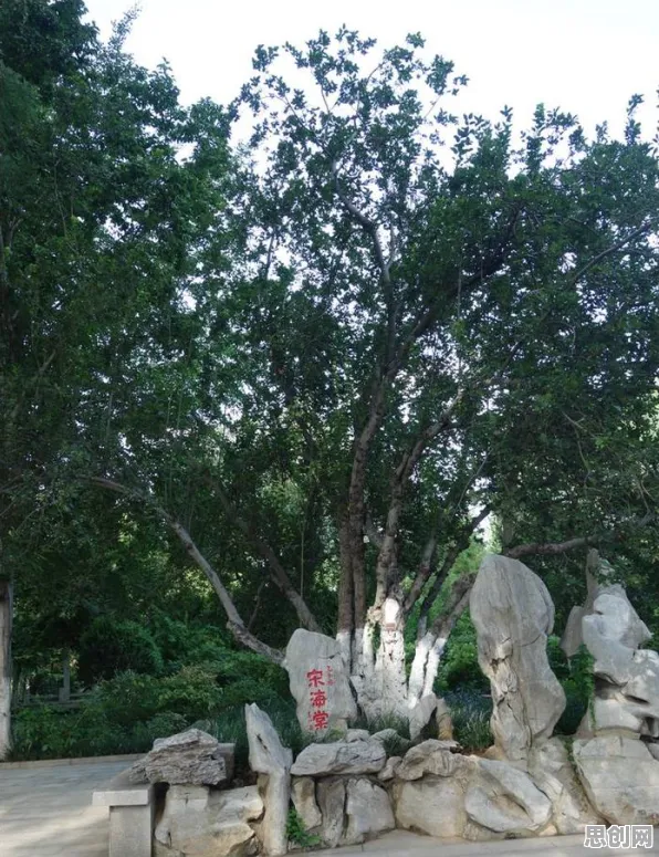 别急着批判适老化改造加速，迁移学习视角下另有深意