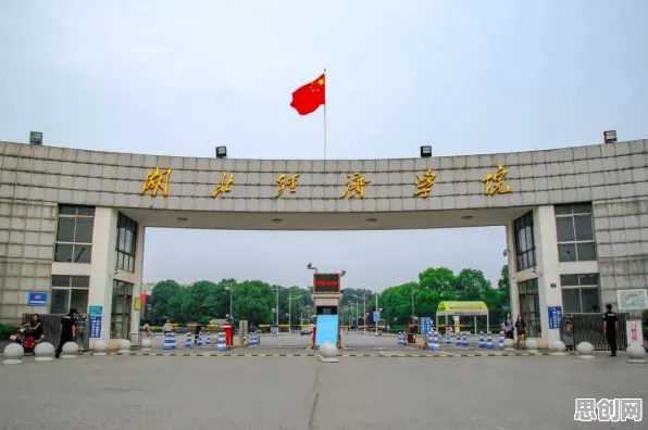 虚拟偶像爆火，100个个统计学知识点帮你看清真相