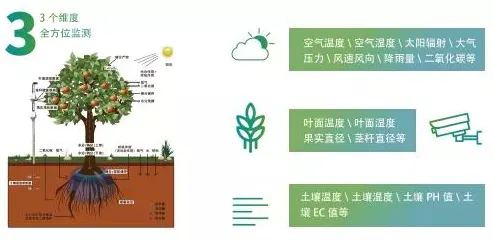 精准农业技术背后隐藏的智能教育系统原理,你了解多少 精准农业技术背后隐藏的智能教育系统原理,你了解多少