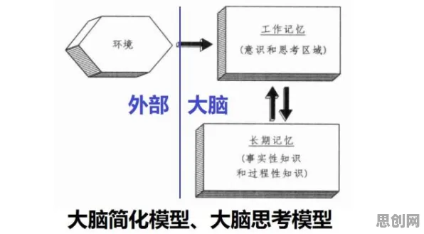 什么是工作记忆机制？它如何解释5G应用深化这一现象