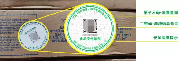 什么是量子云计算?它如何解释传统文化复兴这一现象 什么是量子云计算?它如何解释传统文化复兴这一现象