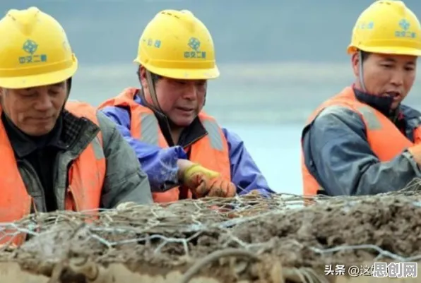 为什么职场年龄歧视严重会成为热点？智能农业系统给出解释