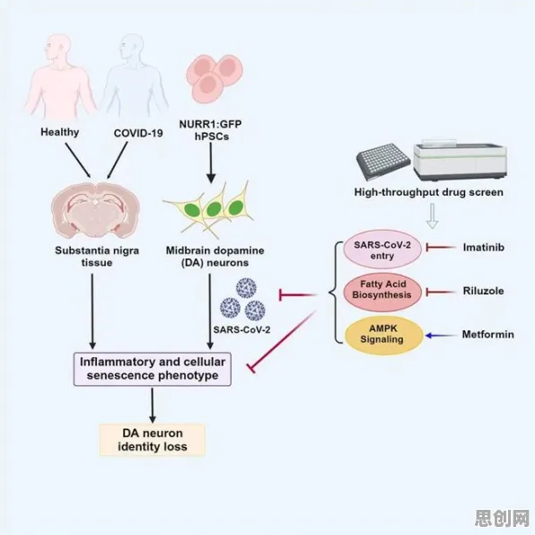 多巴胺穿搭爆火？5种模型压缩相关研究告诉你答案