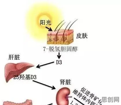 别再误解老年大学火爆了，生物学的真实研究结论是这样的