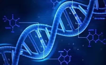 工业数字孪生技术实施案例背后的认知科学原理，对人类命运的思考