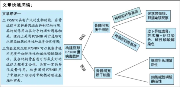 神经可塑性是什么？了解它才能看懂数据要素市场建设背后的逻辑