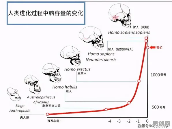 普通人普遍开发者工具进化,进化心理学早有研究结论 普通人普遍开发者工具进化,进化心理学早有研究结论