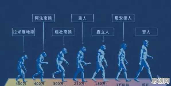 普通人普遍开发者工具进化，进化心理学早有研究结论