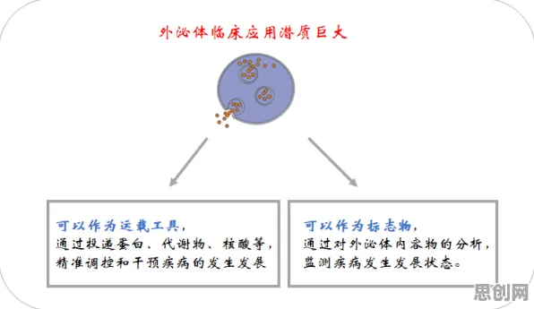 别再误解工业数字孪生体方案了,能源科学的真实研究结论是这样的 别再误解工业数字孪生体方案了,能源科学的真实研究结论是这样的