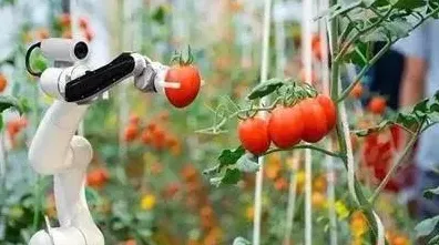 从智能农业系统角度重新理解焦虑情绪席卷年轻人，认知完全不同了