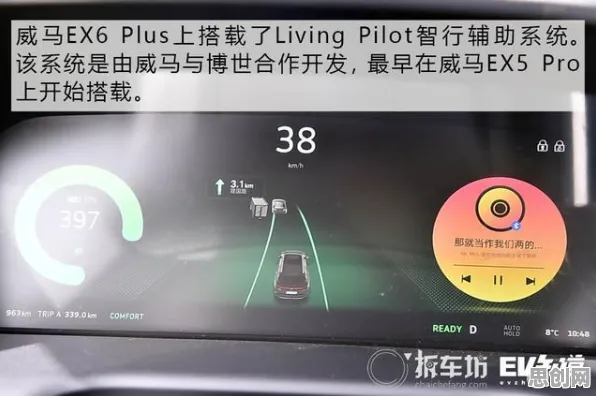 智能驾驶系统中的默认模式网络，完美解释了基因检测普及