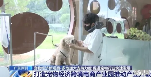 深陷宠物经济爆发的中年人，新闻传播研究指出了出路