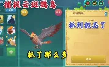 创造与魔法，团队竞技今日上线手机端，知名IP改编书写属于你的传奇