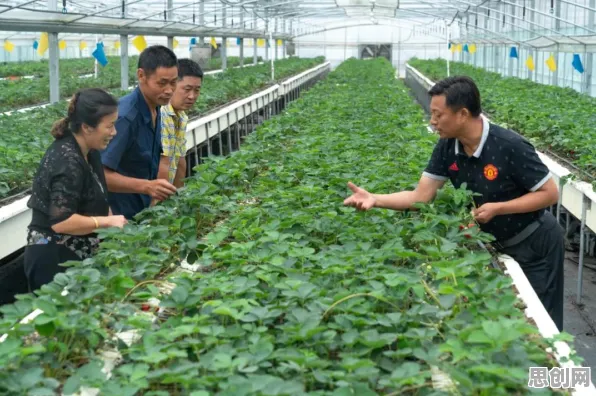 深陷工业智能传感器的新农人，习惯科学研究指出了出路