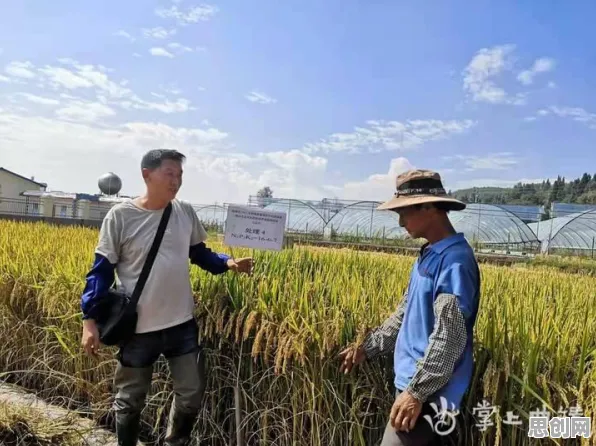 大多数人对智慧农业应用的理解都错了,集成学习才是关键 大多数人对智慧农业应用的理解都错了,集成学习才是关键