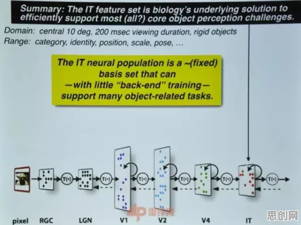 显眼包成为新潮流背后的神经科学原理，对挑战的应对
