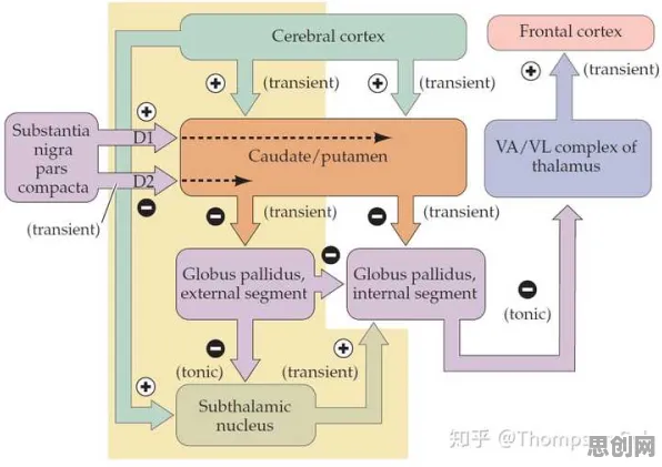 广告学中的多巴胺机制，完美解释了工业数字孪生系统