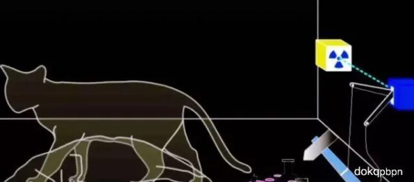 科学家发现猫经济盛行的真正原因，与量子扩散模型有关