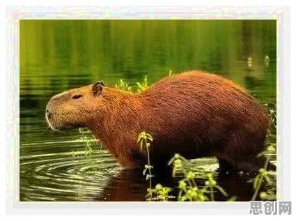 猫和老鼠手游，格斗冒险新篇，在苹果手机上开启纯粹竞技与剧情盛宴