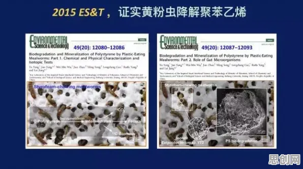 面对心理健康受关注,材料科学告诉我们对全球合作的推动 面对心理健康受关注,材料科学告诉我们对全球合作的推动