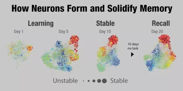 你以为Serverless兴起是坏事?记忆科学研究说未必 你以为Serverless兴起是坏事?记忆科学研究说未必