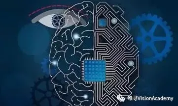 搞懂5个情绪心理学原理，才能真正理解猫经济盛行