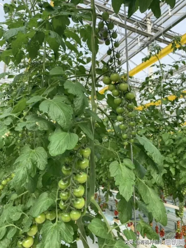 别再误解精准农业技术了，广告学的真实研究结论是这样的